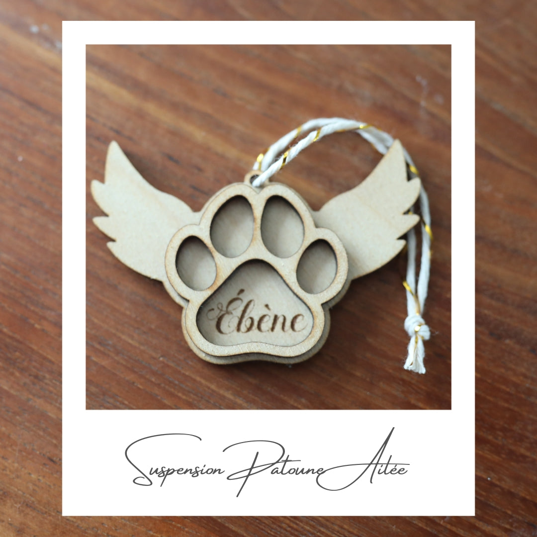 Mini Suspension de Noël Pour Chat / Chien Nom personnalisé