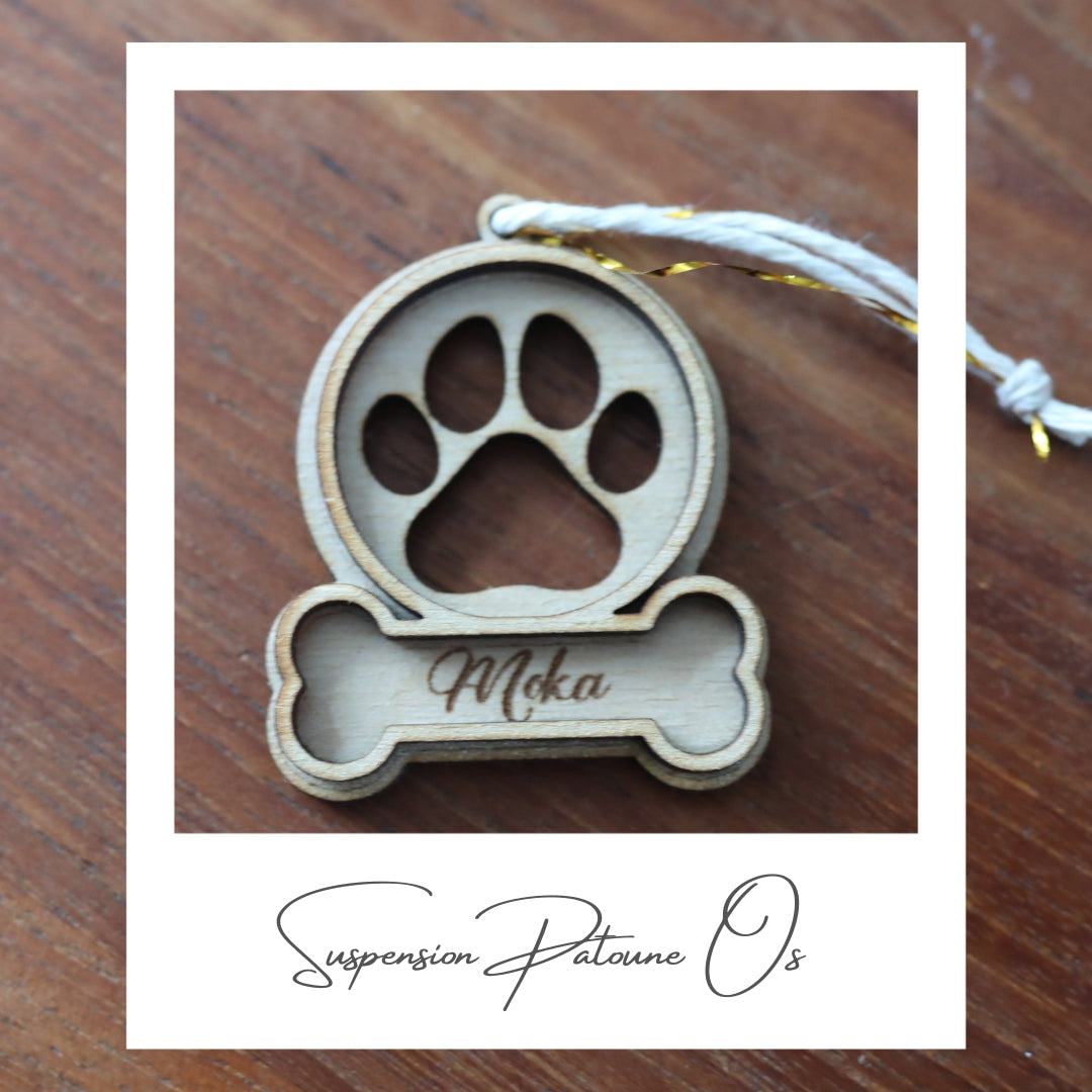 Mini Suspension de Noël Pour Chat / Chien Nom personnalisé