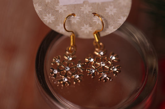 Boucles d’oreilles des Fêtes - modèle au Choix